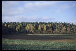 Aussicht bei km 36+
