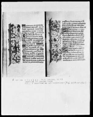 Lateinisches Gebetbuch mit Kalendarium — Schriftseite mit Initialen und Bordüre