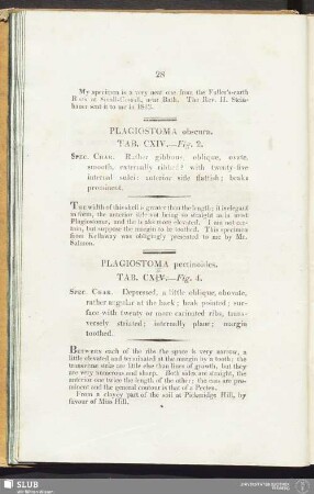 Plagiostoma obscura. Tab. CXIV. — Fig. 2