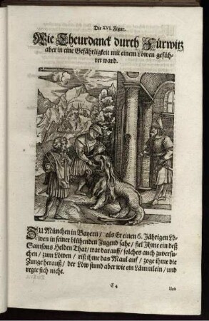 Die XVI. Figur. Wie Theurdanck durch Fürwitz aber in eine Gefährligkeit mit einem Löwen geführet ward