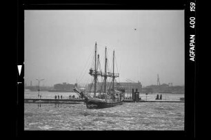 Godewind