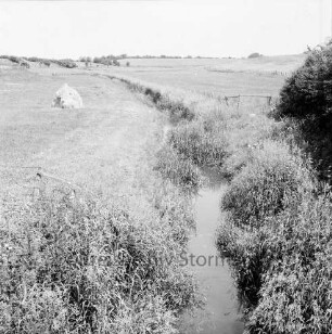 Heilsau: Ufer mit Schilfbewuchs: rechts und links Wiesen: links Heuhocke, rechts Busch: hinten Knicklandschaft