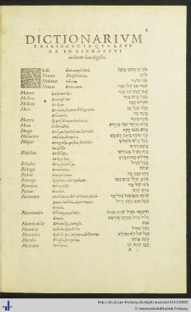 Dictionarium trilingue - שילוש לשונות