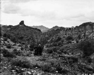 Landschaft bei Phoenix (Transkontinentalexkursion der American Geographical Society durch die USA 1912)