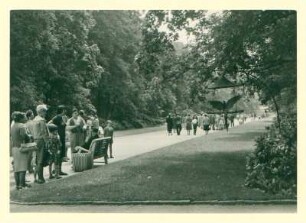 Tierpark Berlin, Hauptallee