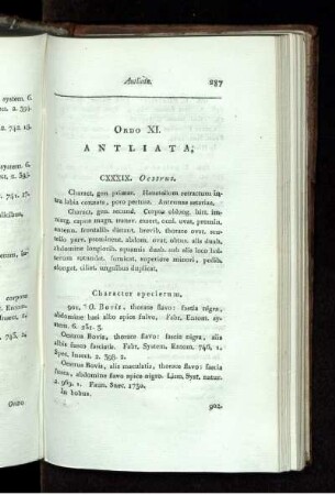 ORDO XI. Anliata.