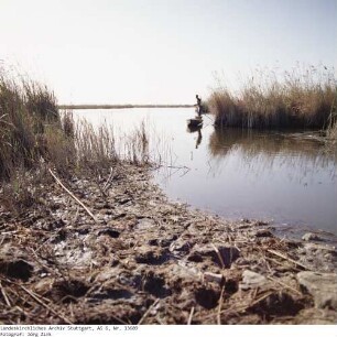 Ägypten: Schilfsee bei Alexandrien