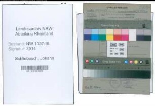 Entnazifizierung Johann Schliebusch , geb. 08.12.1894 (Reg.Amtmann)
