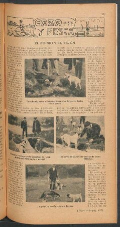 El zorro y el tejón : Caza y pesca