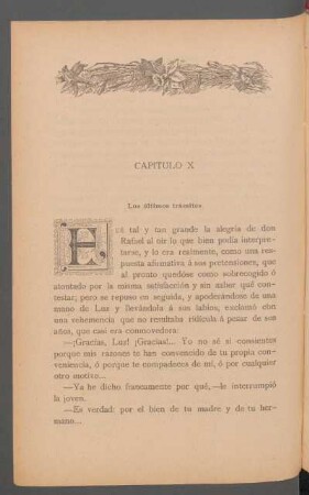 Capítulo X - Los últimos trámites