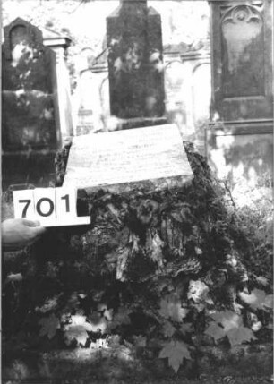 Grabstein 701