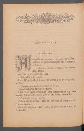 Capítulo XXVII - El único juez