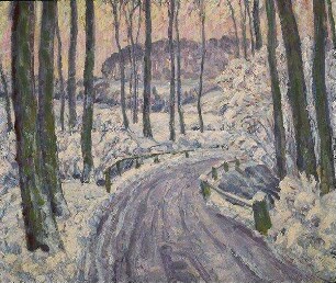 Waldweg im Winter