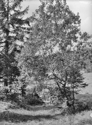 Sankt Joachimsthal-Elbecken (Jáchymov-Klínovec), Mundloch des Wenzelstolln am Westhang des Keilberges (Klinovec)