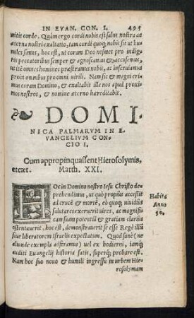 Dominica Palmarum In Evangelium Concio ...