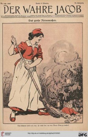 Nr. 849 (31. Januar 1919)