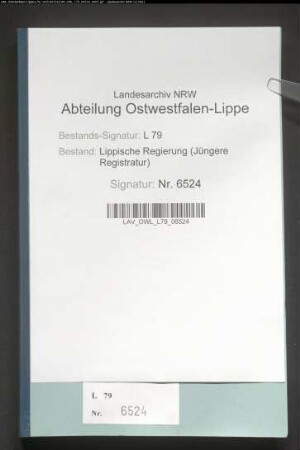 Aufwandsentschädigungen an Familien für in Reichsheer, Marine und Schutztruppen eingestellte Löhne, Teil 2