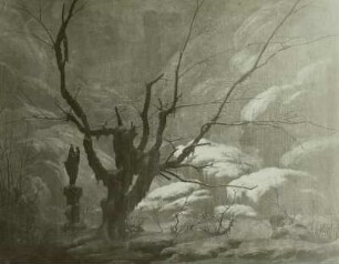 Gebirgsschlucht im Winter