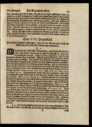 Das XIII. Hauptstück.