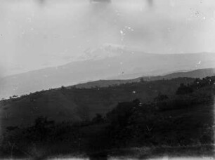 Kibo : Blick über eine Wiese auf den Kibo-Gipfel im Kilimandscharomassiv