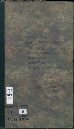 Kirchenbuchduplikat der katholischen Gemeinden in Paderborn, Kreis Paderborn (GHT 1863-1866). (Gemeinde: Katholische Gemeinden Paderborn )
