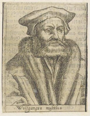 Bildnis des Wolfgang Musculus