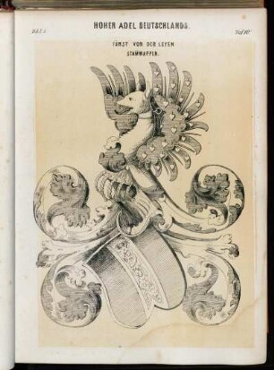 Taf. 10. Fürst von der Leyen Stamwappen.