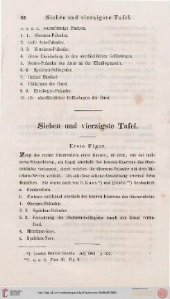 Sieben und vierzigste Tafel / Tabula Quadragesima Septima