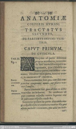 Anatomiae Corporis Humani Tractatus Secundus, De Partibus Infimi Ventris