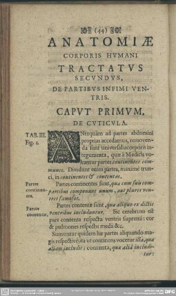 Anatomiae Corporis Humani Tractatus Secundus, De Partibus Infimi Ventris