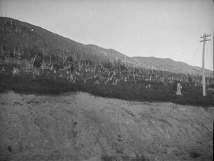 Bahnstrecke zwischen Toyohara (heute Juschno-Sachalinsk) und Maoka (heute Cholmsk) : Landschaft mit verkohltem Wald