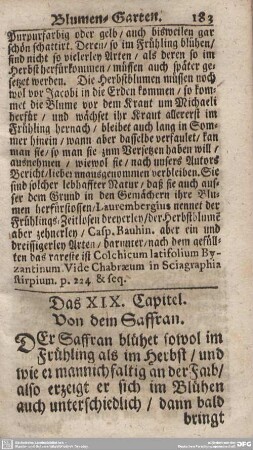 Das XIX. Capitel. Von dem Saffran.