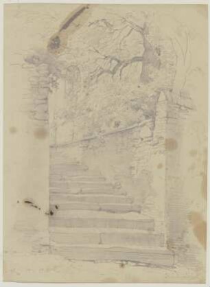 Alte Treppe, umgeben von Bäumen
