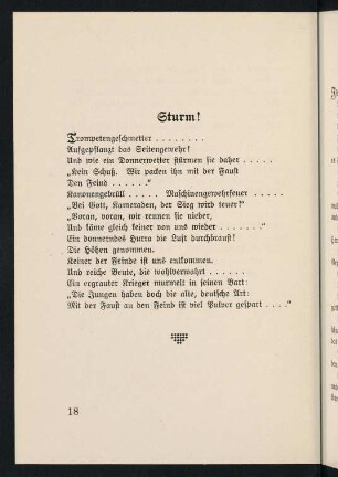 18-29, Sturm - Soldatentod