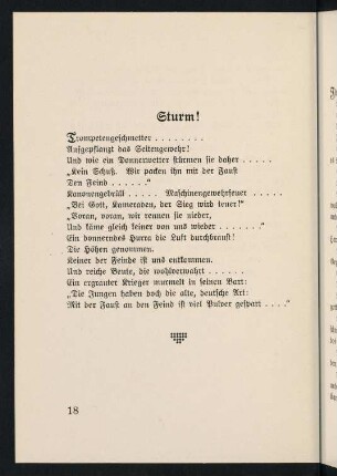 18-29, Sturm - Soldatentod