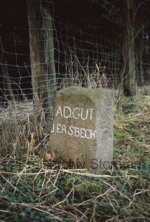 Grenzstein [Nr. 9] zwischen Adligem Gut Jersbek und Amt Tremsbüttel: auf Schmalseite Hufeisen-Symbol