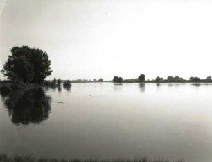Mittelelbniederung bei Klöden (Kreis Jessen). Blick auf die Elbe flußauf nach Südosten
