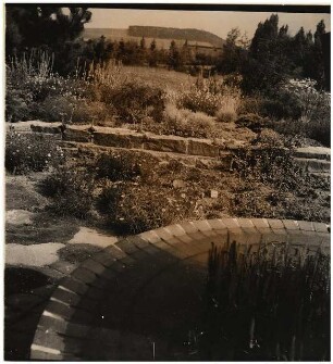 Garten Thiele, Goslar: Wasserbassin vor Pflanzung