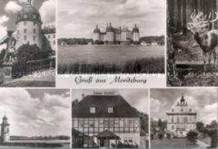 Ansichten aus Moritzburg
