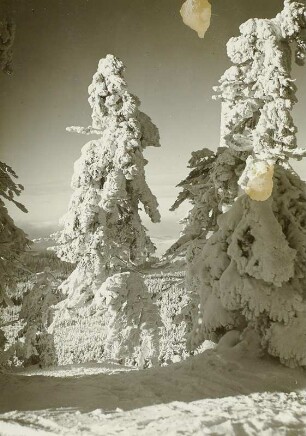 Erzgebirge im Winter. Mit Raufrost behangene Fichten im Erzgebirge