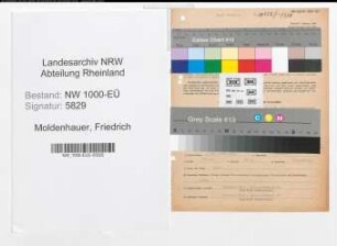 Entnazifizierung Friedrich Moldenhauer, geb. 10.07.1911 (Lehrer)