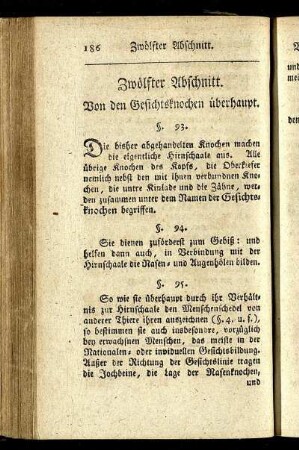 Zwölfter Abschnitt. Von den Gesichtsknochen überhaupt.