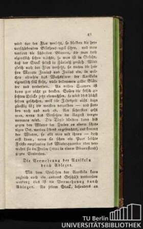 Die Vermehrung der Aurikeln durch Ableger.