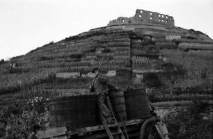 Staufen: Weinwannen am Schlossberg, Hintergrund Ruine