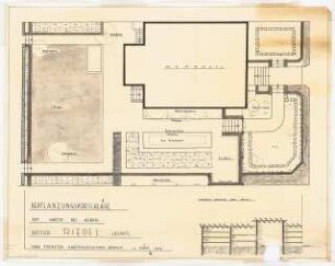 Garten Riedel, Liegnitz: Vorschlag Pflanzplan 1:50, Ansicht Spalier am Haus