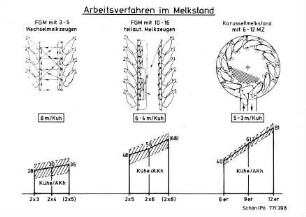 Arbeitsverfahren im Melkstand