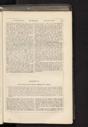 Chapter IV. The Brazils---Rio Negro, Terra del Fuego.