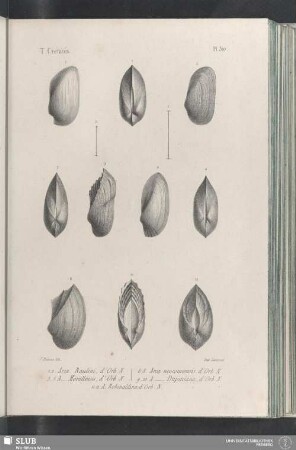 Pl. 310