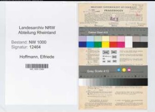 Entnazifizierung Elfriede Hoffmann, geb. 29.10.1909 (Verw.Gehilfin)