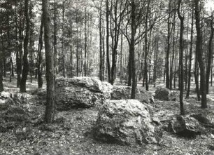 Landkreis Meißen. Golkwald. Heidegräber, Naturdenkmal Riesensteine. Gangquarzit (im Meißner Granit)